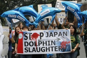Activists hold dolphin-shaped balloons and banners urging the Japanese government to end dolphin killings, during a protest in front of the Japanese embassy in Manila September 2, 2013. The protest is part of a global movement by animal welfare groups to spread awareness about the slaughter of dolphins and whales, an Earth Island Institute Philippines press statement said. (MNS photo)