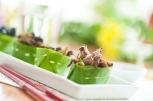 A pest control company will be hosting pop-up 'Pestaurant' events around the world Wednesday. ©p.studio66/shutterstock.com