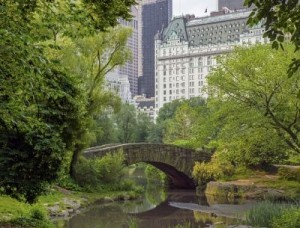 Central Park, New York New York is the most popular US destination for international visitors. ©John A. Anderson/shutterstock.com